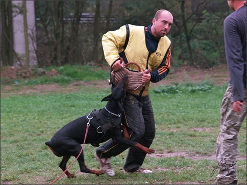 Training in Prague 10/2007